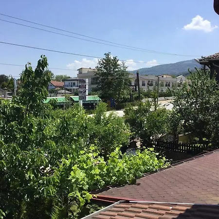 Holiday *